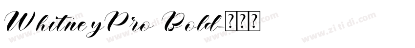 WhitneyPro Bold字体转换 WhitneyPro Bold字体转换